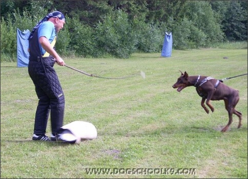 Summer training camp in Estonia 2007